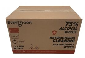 Evergreen Antibacterial Wipes 12/100 ct tubs