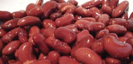 Red Kidney Beans 6/#10