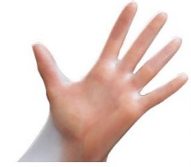 Vinyl Gloves - No Powder - Extra Lg - case Of 10/100