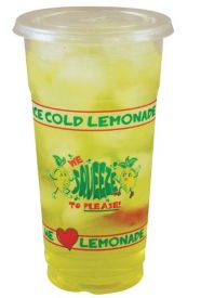 Lemonade PET Clear Cup Squeeze to Please 32oz 540 ct