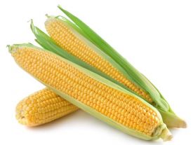 Corn On Cob